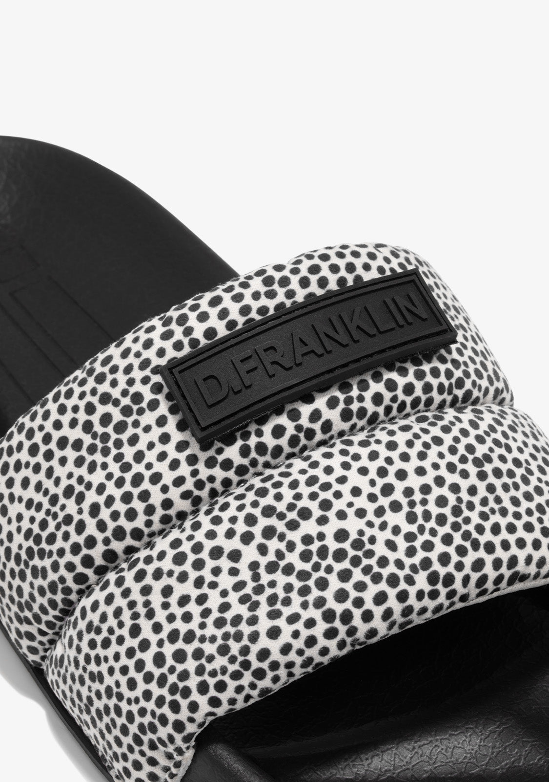 Venice Slides Dotty